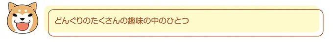 ハッ...柴犬が何もないはずの私の背後を凝視。恐ろしくなって振り返ると...え？／ドヤ顔柴犬どんぐり 13445841.webp