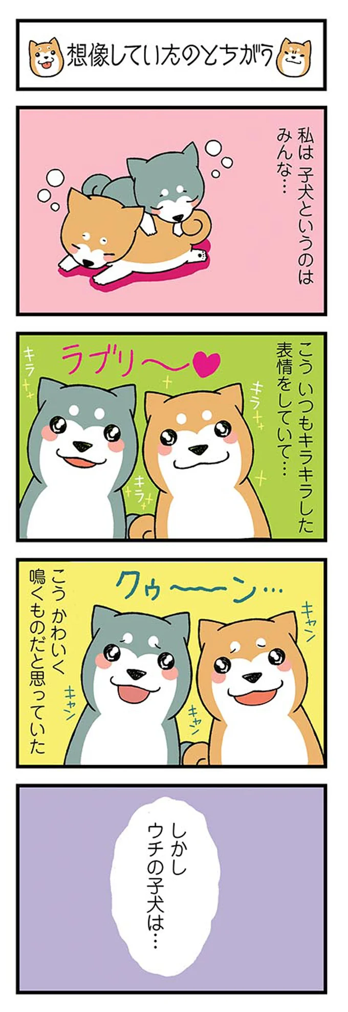 うちの柴犬が起こした「バナナ事件」。バナナをくわえた愛犬をスルーしたら悲劇が／ドヤ顔柴犬どんぐり 13445872.webp