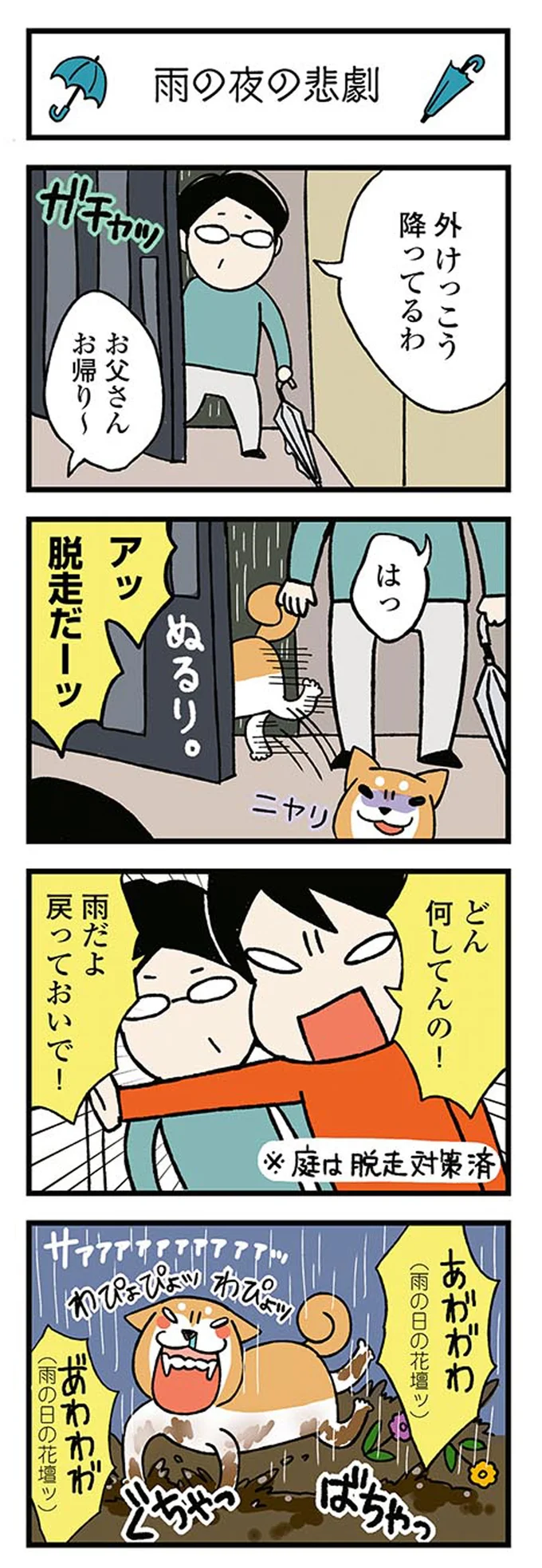 愛犬が顔をペロペロ。でも時々あるこれは...どういうこと？／ドヤ顔柴犬どんぐり 13446215.webp