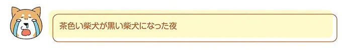 愛犬が顔をペロペロ。でも時々あるこれは...どういうこと？／ドヤ顔柴犬どんぐり 13446217.webp