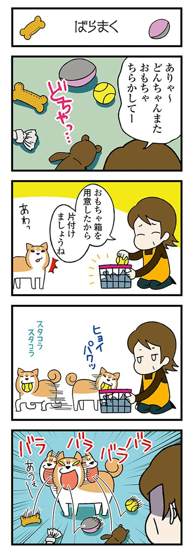 『ドヤ顔柴犬どんぐり』 13446239.webp