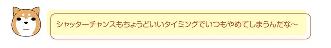 うちの柴犬は「気に入ったものを体でつぶす」。果敢にチャレンジしたのは...／ドヤ顔柴犬どんぐり 2 13466102.webp