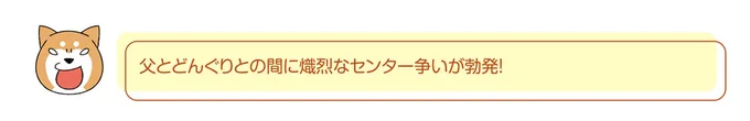 『ドヤ顔柴犬どんぐり』 13466553.webp