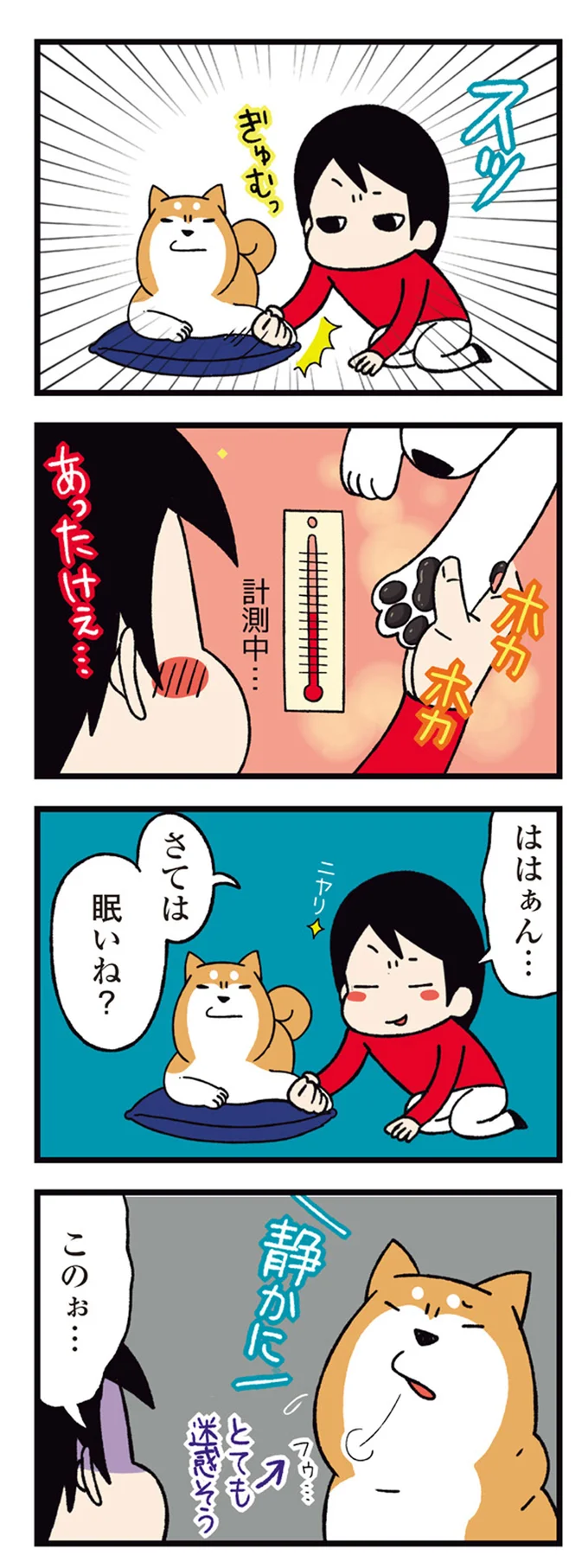 『ドヤ顔柴犬どんぐり』 13466555.webp