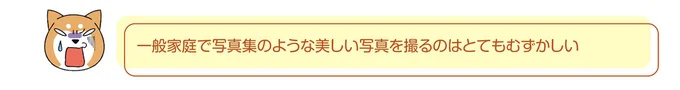 『ドヤ顔柴犬どんぐり』 13467764.webp