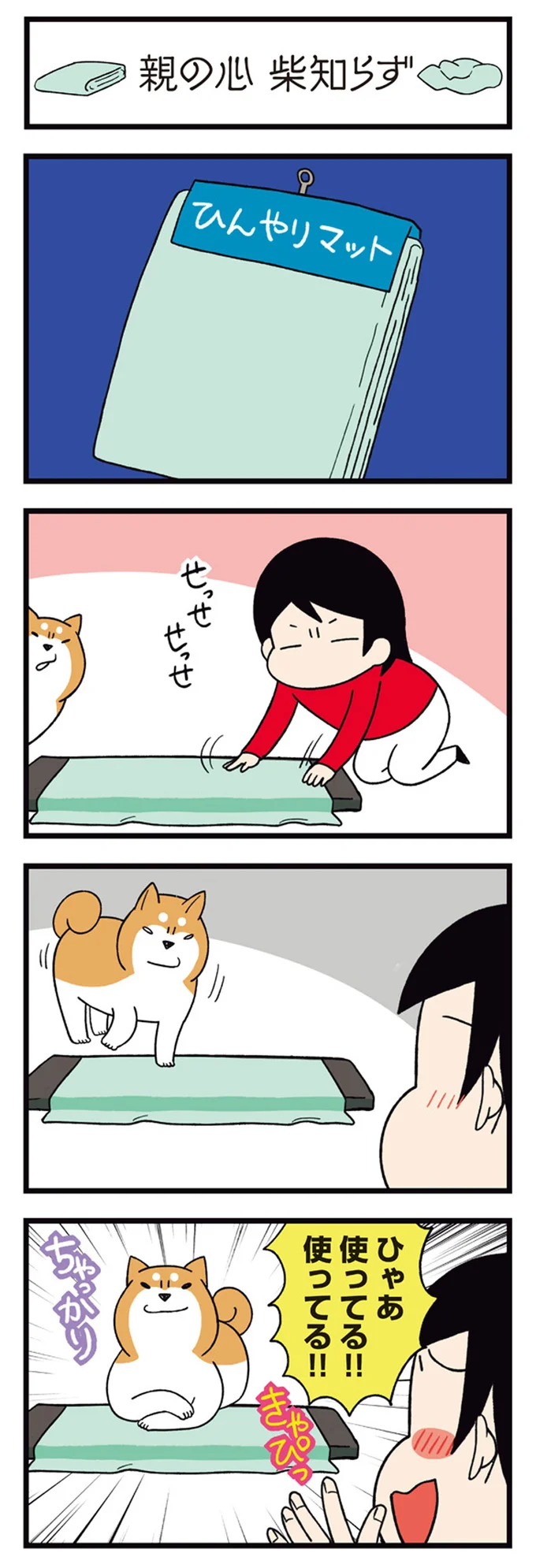 『ドヤ顔柴犬どんぐり』 13468352.webp