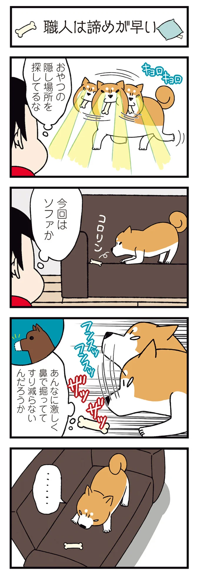 愛犬のために良かれと思って購入したもの。「ひゃあ使ってる!!」と喜んでたら...／ドヤ顔柴犬どんぐり 2 13468355.webp