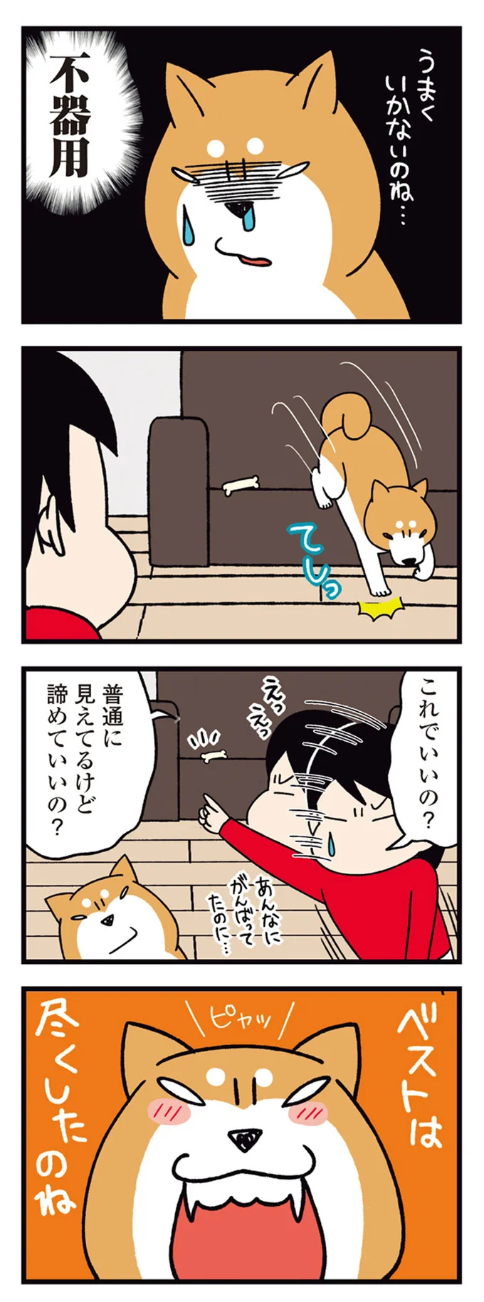 『ドヤ顔柴犬どんぐり』 13468356.webp