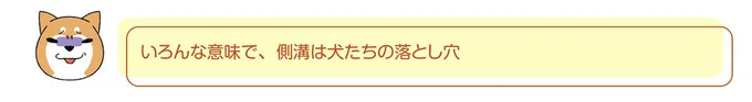 『ドヤ顔柴犬どんぐり』 13468442.webp