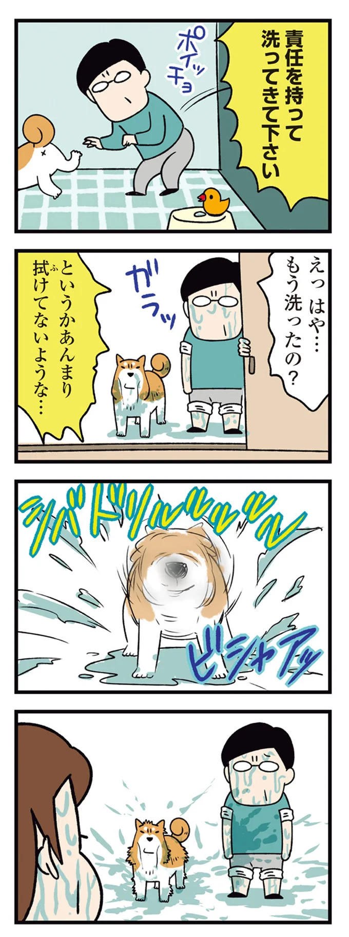 うちの柴犬、引っ込みがつかなくなった...⁉ 葉っぱに捨て台詞を／ドヤ顔柴犬どんぐり 2 13468641.webp