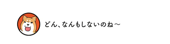 保護した子猫と、先住の柴犬との初対面。ドキドキだったけど...や～ん♪／うちう猫と柴犬 13480326.webp