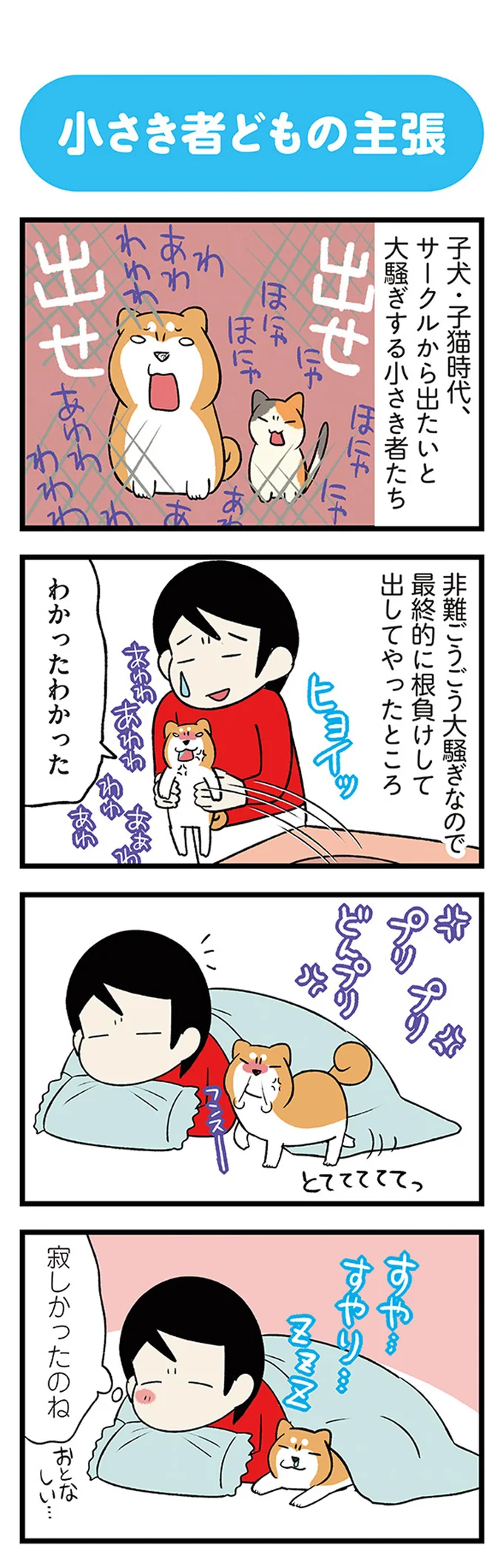 なんと「猫の肉球」は...！ 犬と猫と暮らしてはじめて知った、肉球と爪の違い／うちう猫と柴犬 13480711.webp