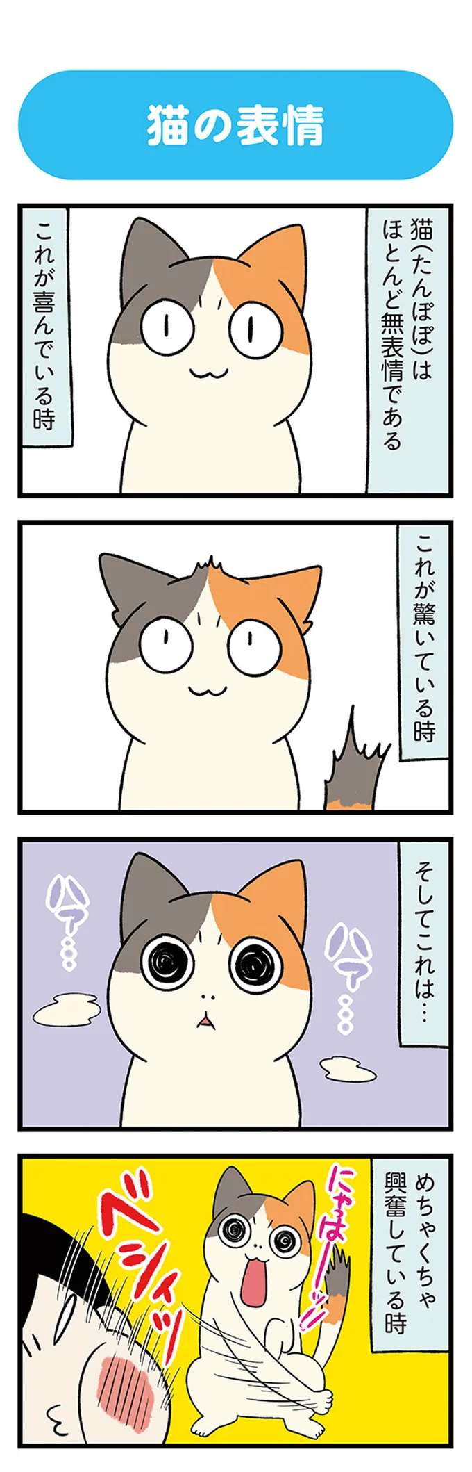 『うちう猫と柴犬』 13480728.webp