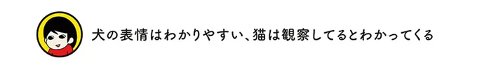 『うちう猫と柴犬』 13480729.webp