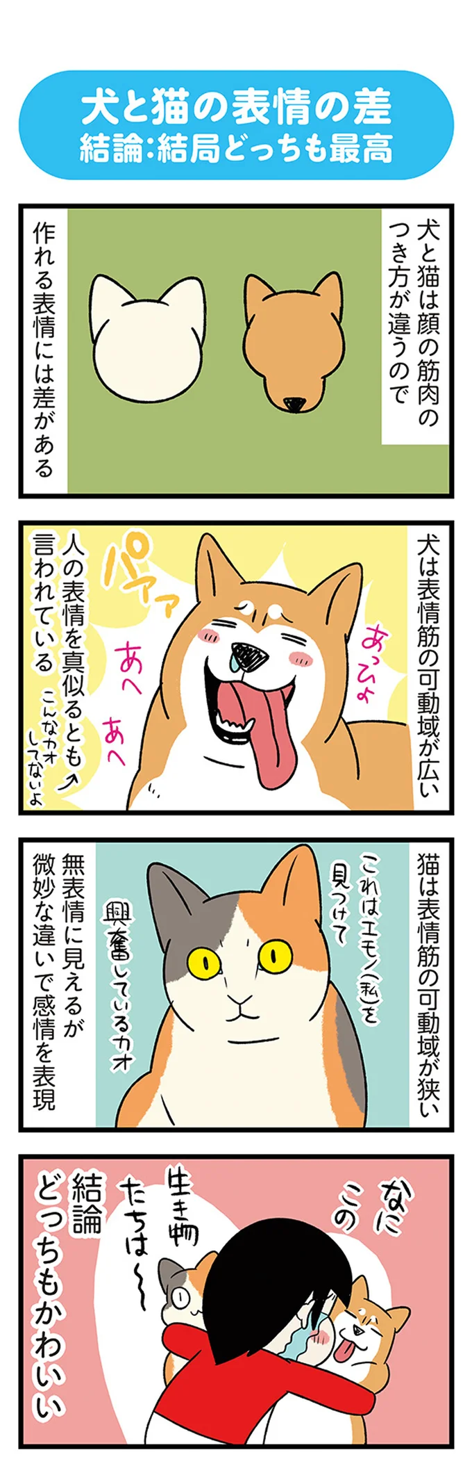 『うちう猫と柴犬』 13480730.webp