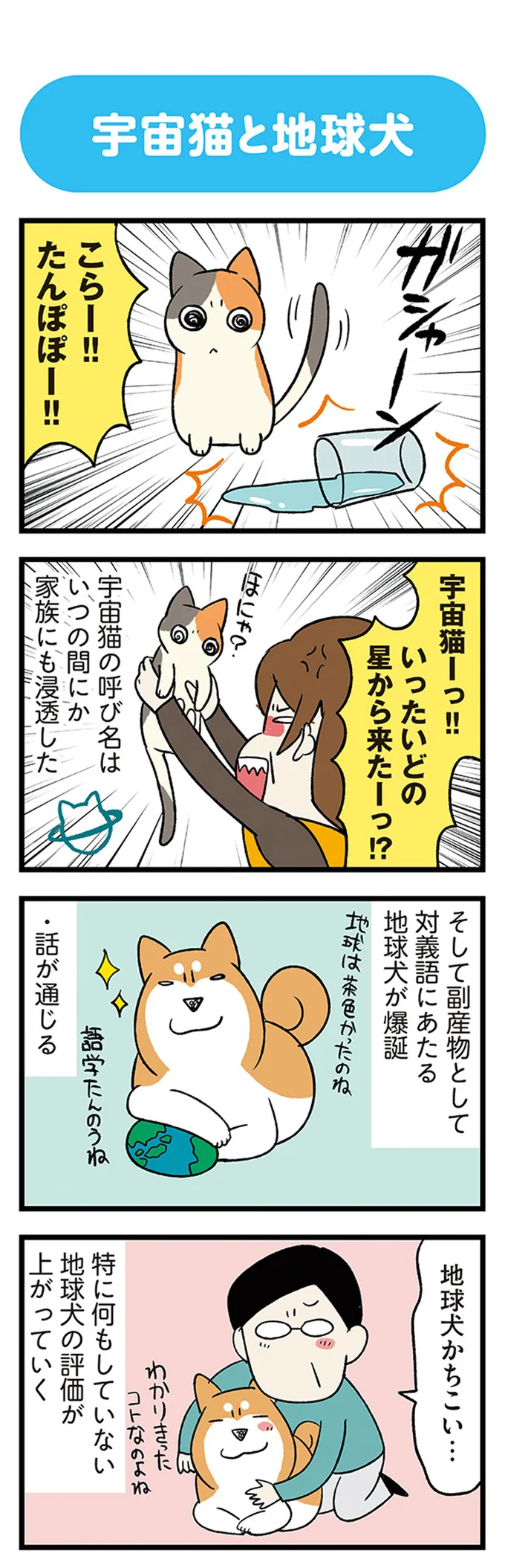 『うちう猫と柴犬』 13480933.webp