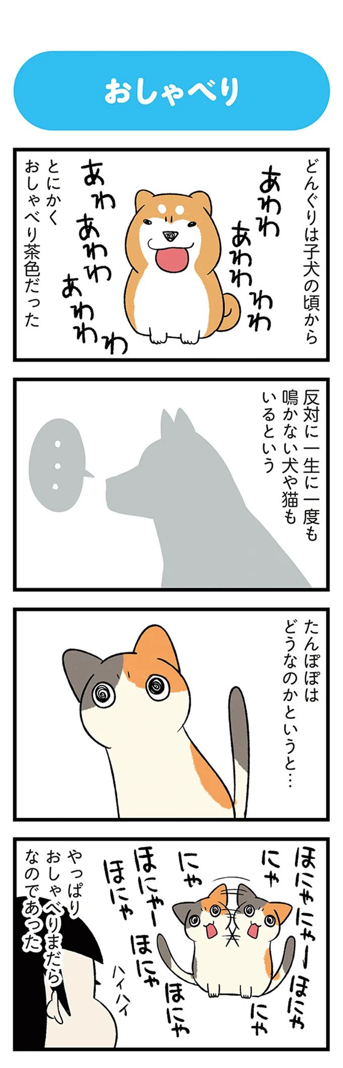 「子犬」も「子猫」も、一緒に暮らすとこうなる。いでででで／うちう猫と柴犬 13480992.webp