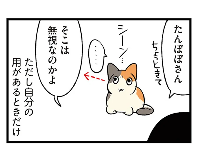 「子犬」も「子猫」も、一緒に暮らすとこうなる。いでででで／うちう猫と柴犬 13480993.webp