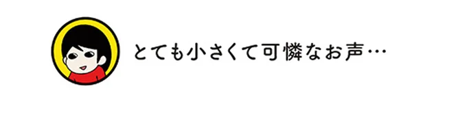 「子犬」も「子猫」も、一緒に暮らすとこうなる。いでででで／うちう猫と柴犬 13480995.webp