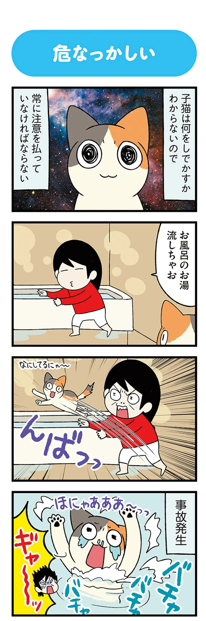 『うちう猫と柴犬』 13481243.webp