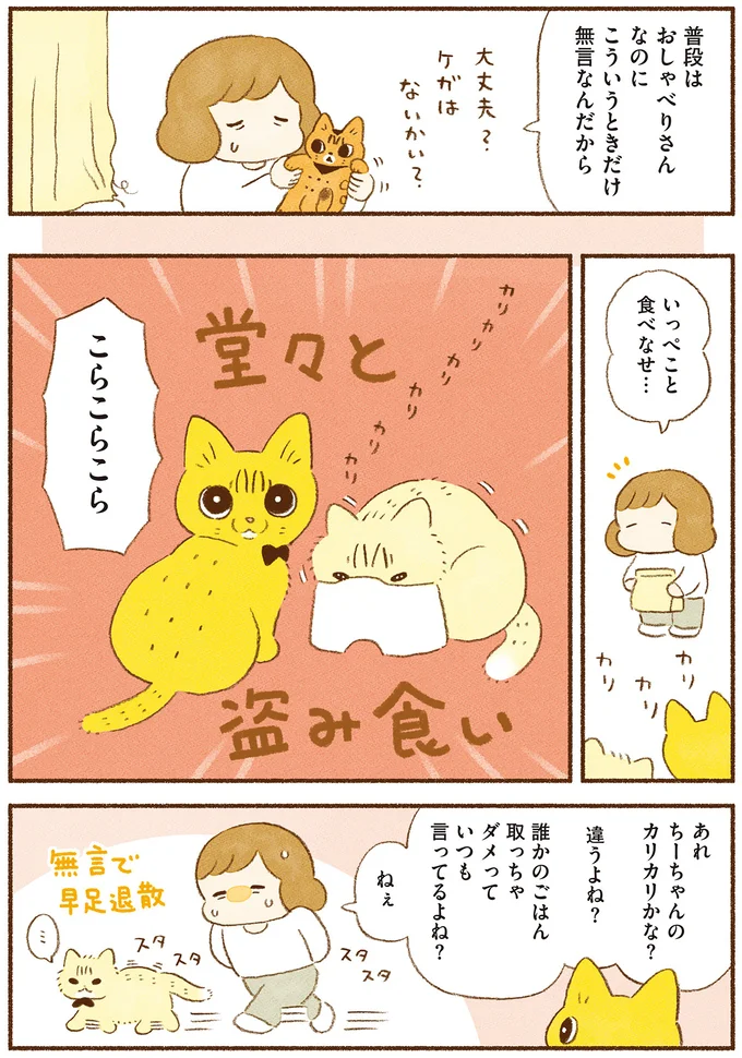 「君たち二度と野生には戻れないね...」。要望は無言で飼い主に訴える3匹の愛猫／しまねこ3姉妹と暮らしています 13514757.webp