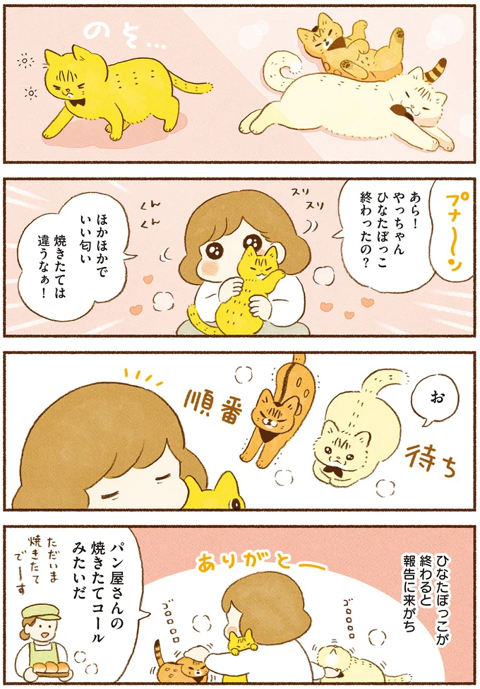 「焼きたては違うなぁ！」ひなたぼっこが終わった3にゃんズとの楽しみ／しまねこ3姉妹と暮らしています 13514783.webp