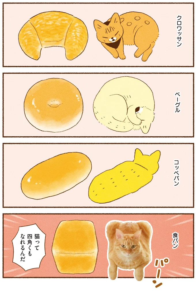 「焼きたては違うなぁ！」ひなたぼっこが終わった3にゃんズとの楽しみ／しまねこ3姉妹と暮らしています 13514784.webp