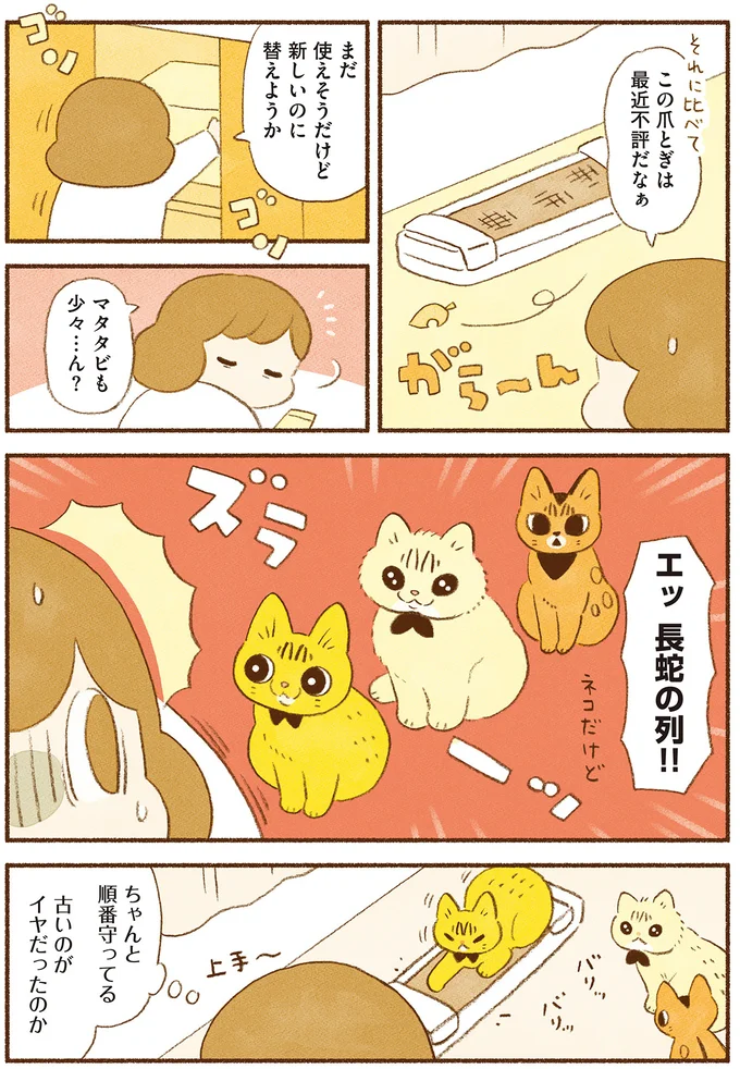 「猫の下僕」生活。グッズ購入、掃除...でも猫が快適なら！／しまねこ3姉妹と暮らしています 13514857.webp