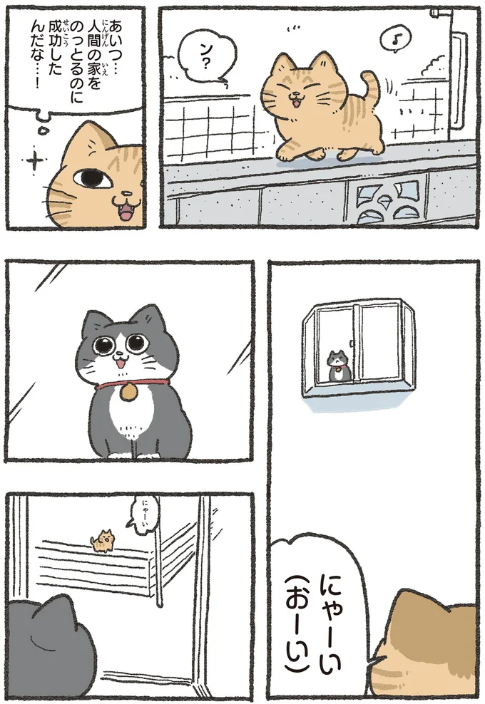 社長宅に住んだ「ねこおじ」に先輩猫から贈り物。遠回りな拒否は届くのか？／ねこに転生したおじさん3 13529918.webp