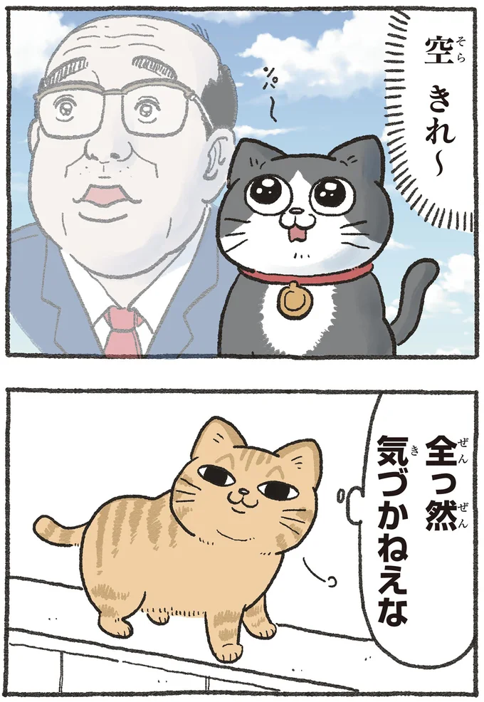 社長宅に住んだ「ねこおじ」に先輩猫から贈り物。遠回りな拒否は届くのか？／ねこに転生したおじさん3 13529919.webp