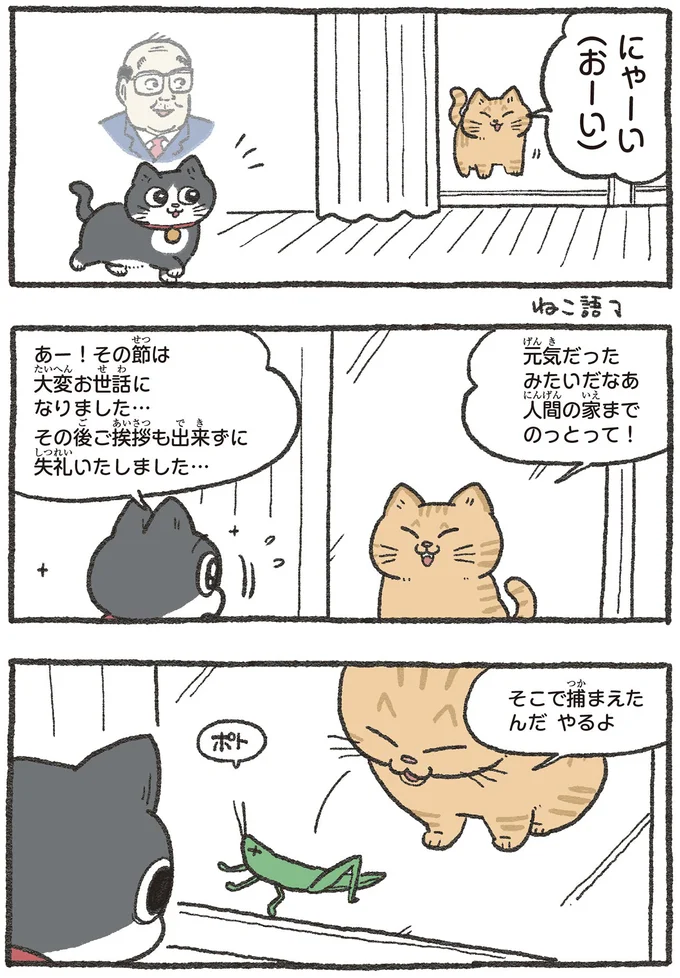 社長宅に住んだ「ねこおじ」に先輩猫から贈り物。遠回りな拒否は届くのか？／ねこに転生したおじさん3 13529920.webp