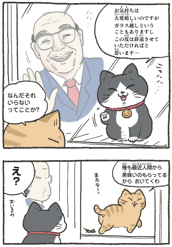 社長宅に住んだ「ねこおじ」に先輩猫から贈り物。遠回りな拒否は届くのか？／ねこに転生したおじさん3 13529921.webp