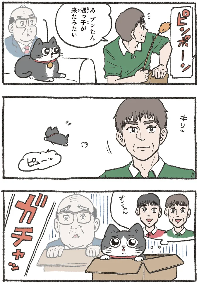 『ねこに転生したおじさん 3』 13530305.webp