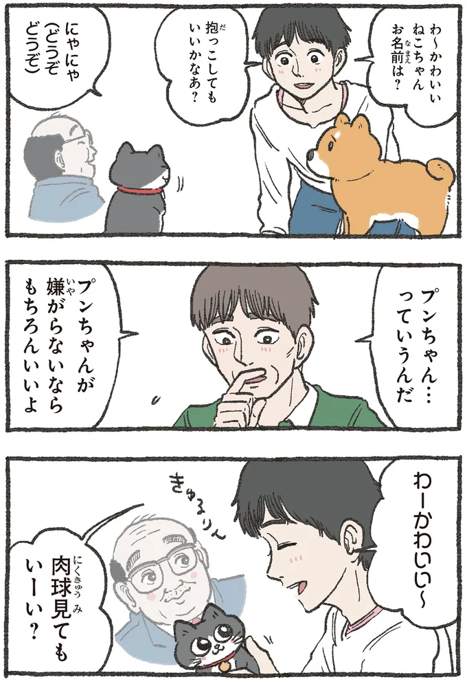 『ねこに転生したおじさん 3』 13530313.webp