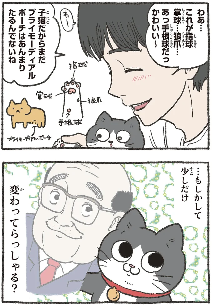 『ねこに転生したおじさん 3』 13530314.webp