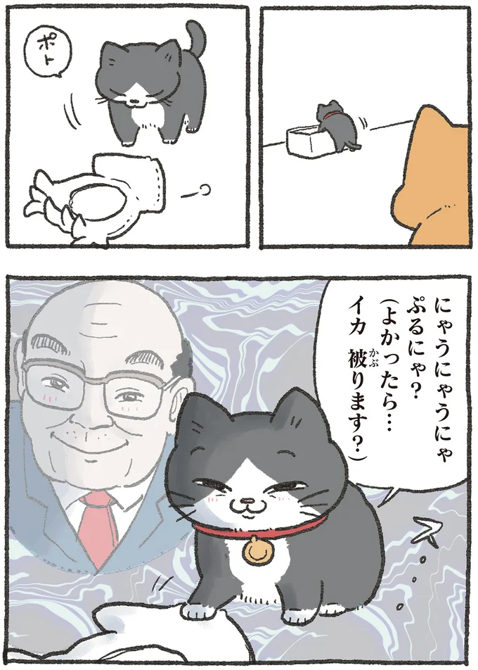 『ねこに転生したおじさん 3』 13530426.webp