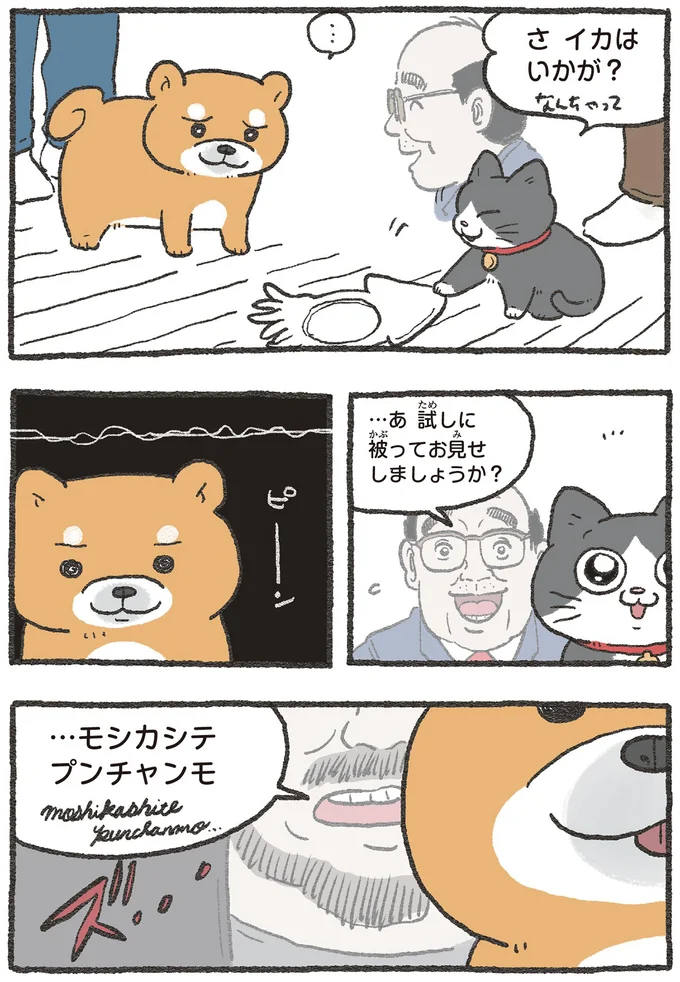 『ねこに転生したおじさん 3』 13530427.webp