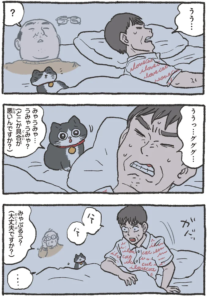 『ねこに転生したおじさん 3』 13530434.webp