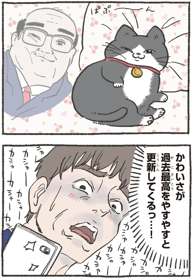 『ねこに転生したおじさん 3』 13530449.webp