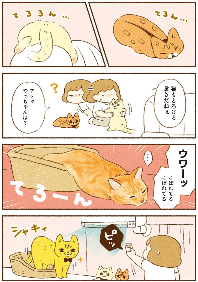 『しまねこ3姉妹と暮らしています　深まるきずな編』 13539128.webp