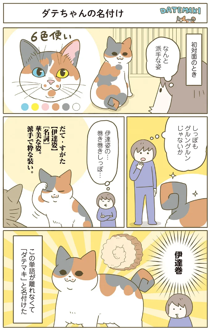 巻き巻きしっぽのダテちゃん、バンザイでくつろぐビッケ。猫カフェから新メンバーが家へ／うちの猫がまた変なことしてる。8 13566112.webp