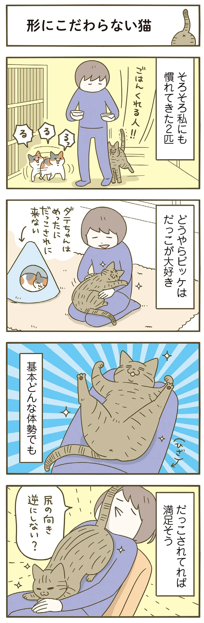 『うちの猫がまた変なことしてる。8』 13568020.webp