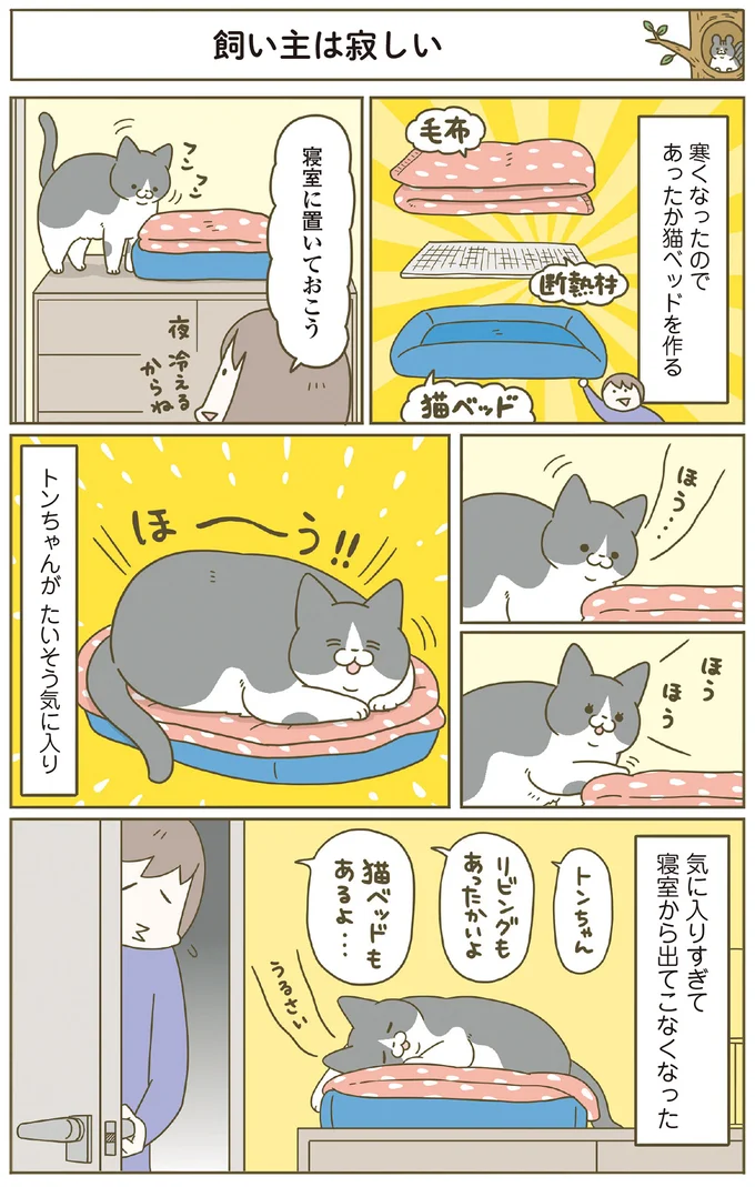 飼い主は寂しい!? あったか猫ベッドを作ったら気に入ってくれて...／うちの猫がまた変なことしてる。8 13568032.webp