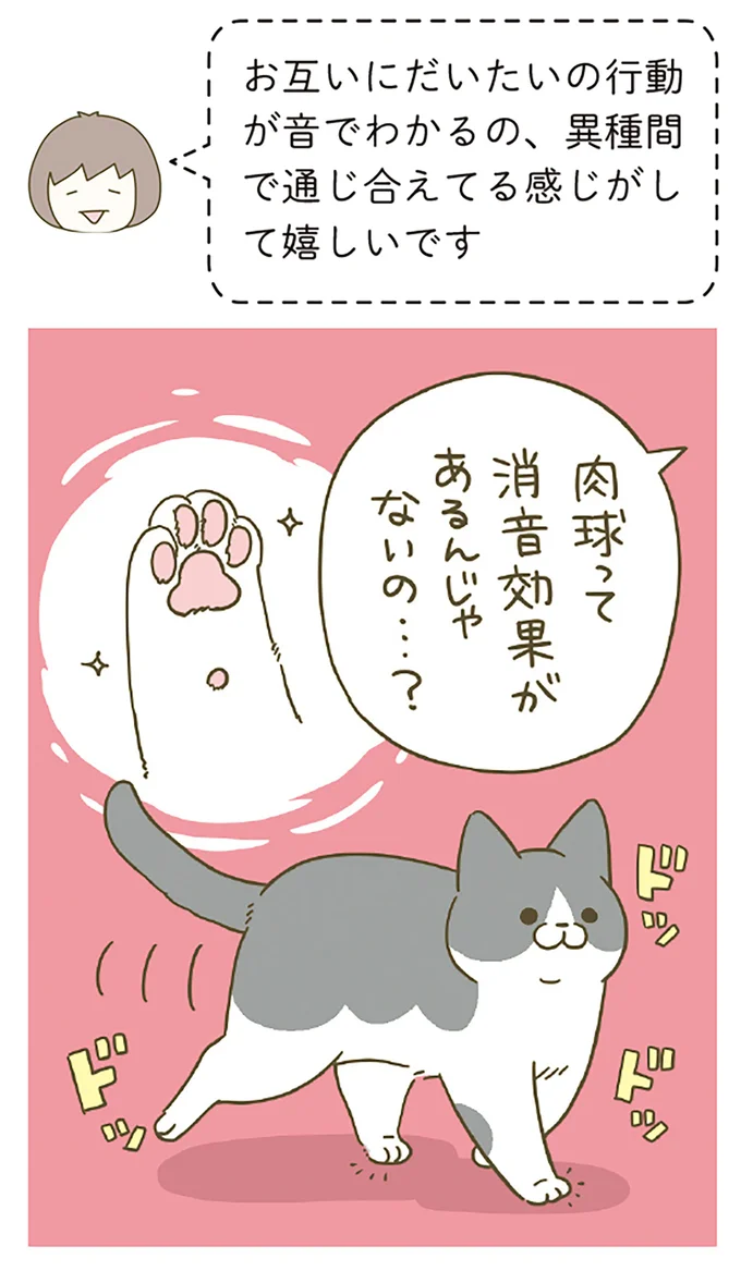 『うちの猫がまた変なことしてる。8』 13568052.webp