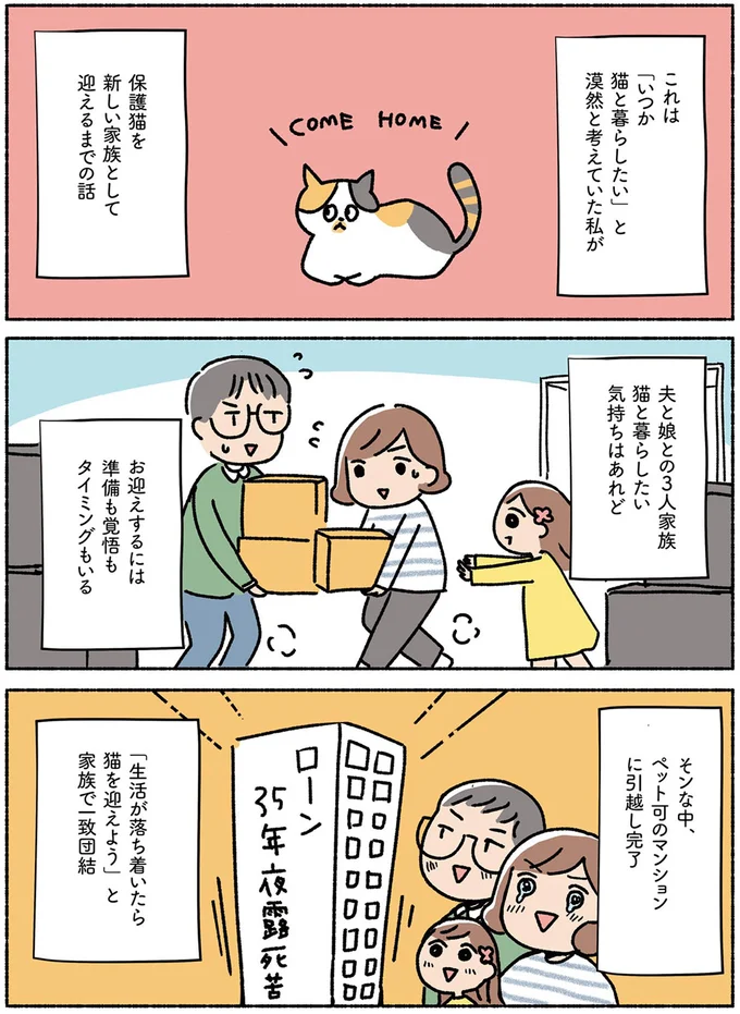 『ねこ活はじめました　かわいい！愛しい！だから知っておきたい保護猫のトリセツ』 13642057.webp