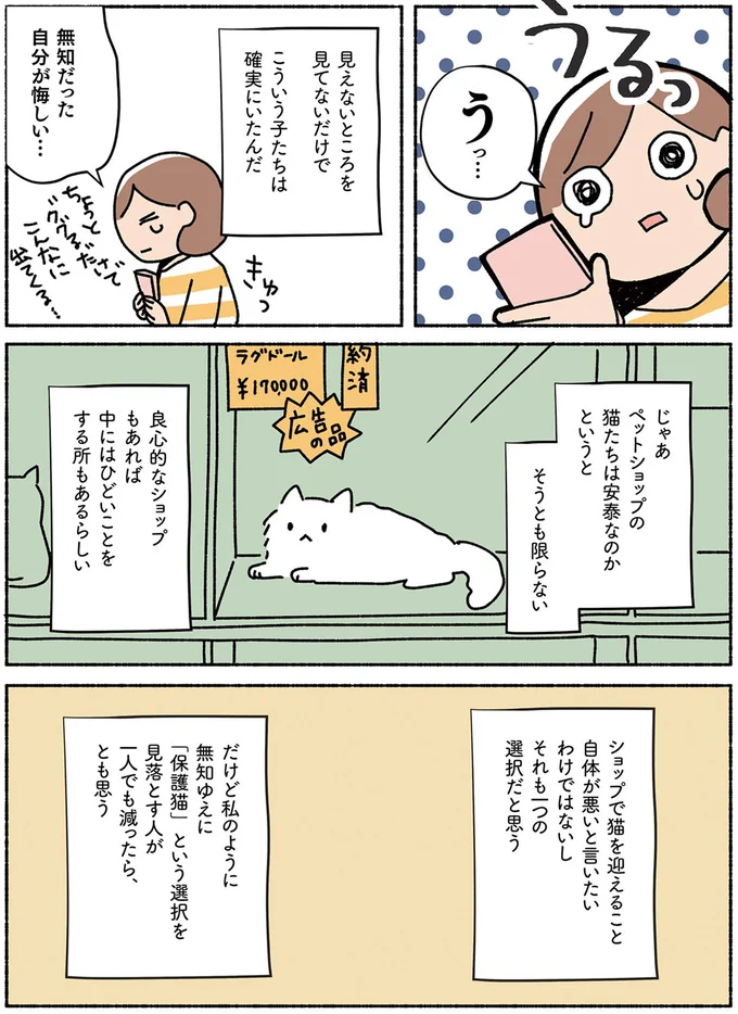 『ねこ活はじめました　かわいい！愛しい！だから知っておきたい保護猫のトリセツ』 13642064.webp