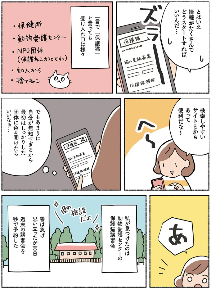 「保護猫」と暮らすという選択肢。誰かがお迎えをしないと...／ねこ活はじめました 13642066.webp