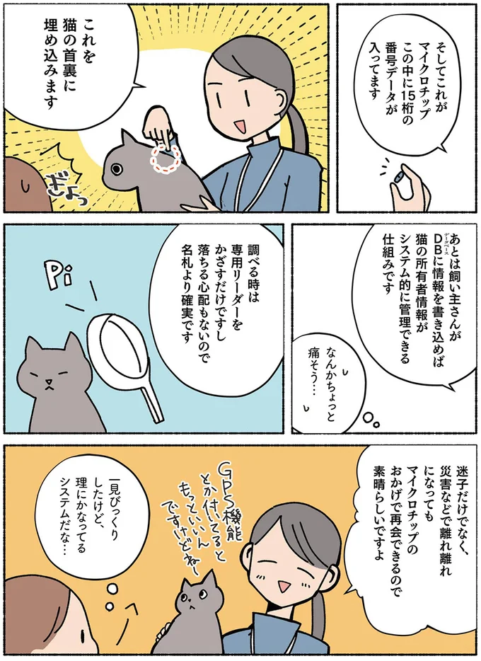 『ねこ活はじめました　かわいい！愛しい！だから知っておきたい保護猫のトリセツ』 13642082.webp