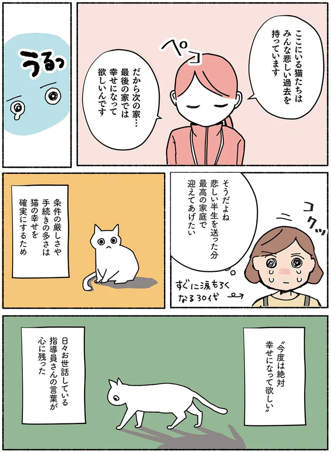 『ねこ活はじめました　かわいい！愛しい！だから知っておきたい保護猫のトリセツ』 13642091.webp