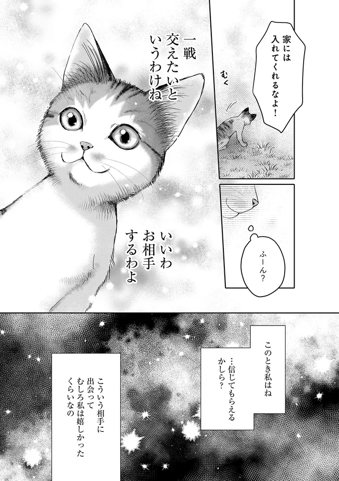 「いいわ、お相手するわよ」子猫が仕掛けた「乗っ取り作戦」。家には猫嫌いの男性が...／猫語の教科書 13657243.webp